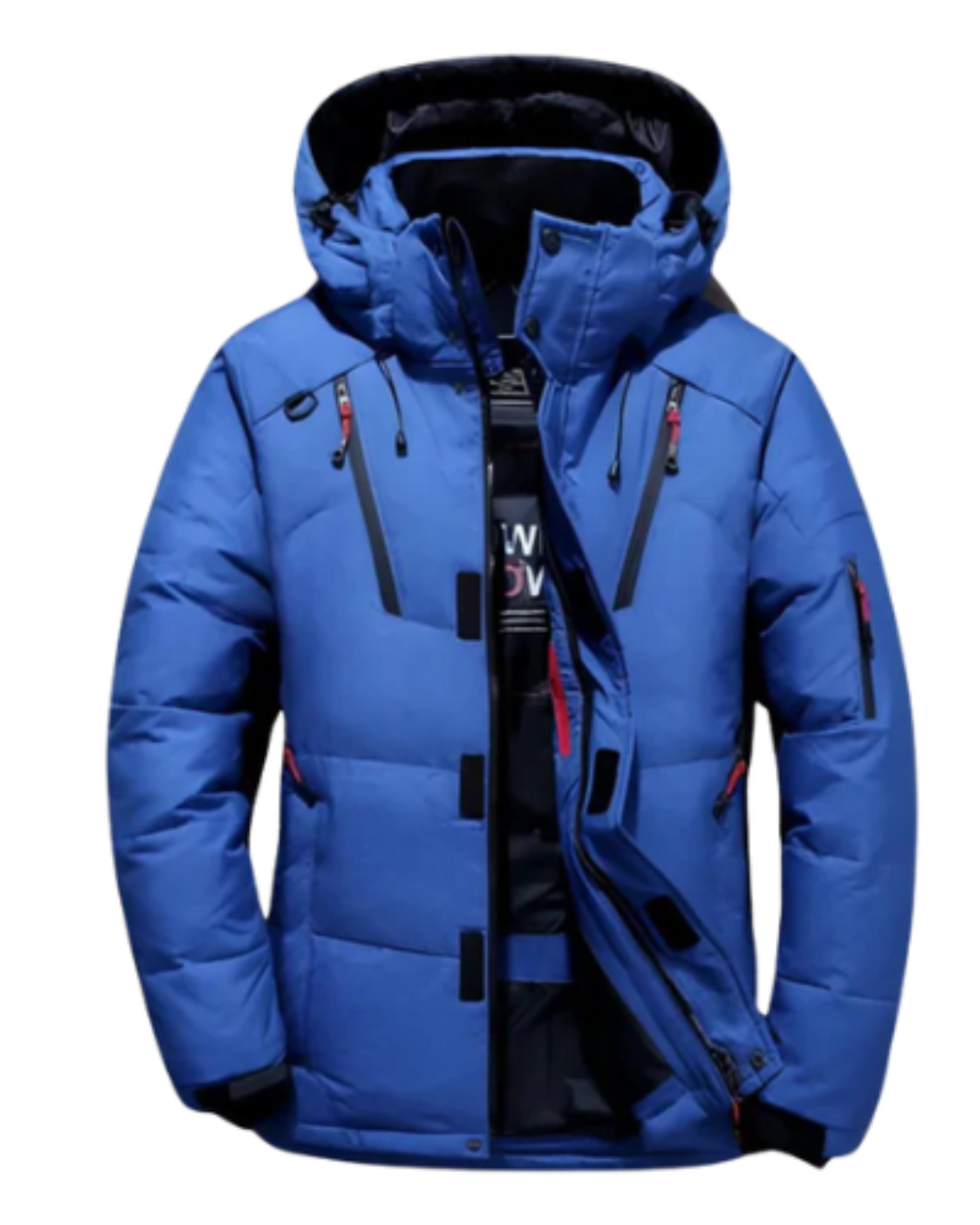 Giacca in piumino antivento e impermeabile - Oliver